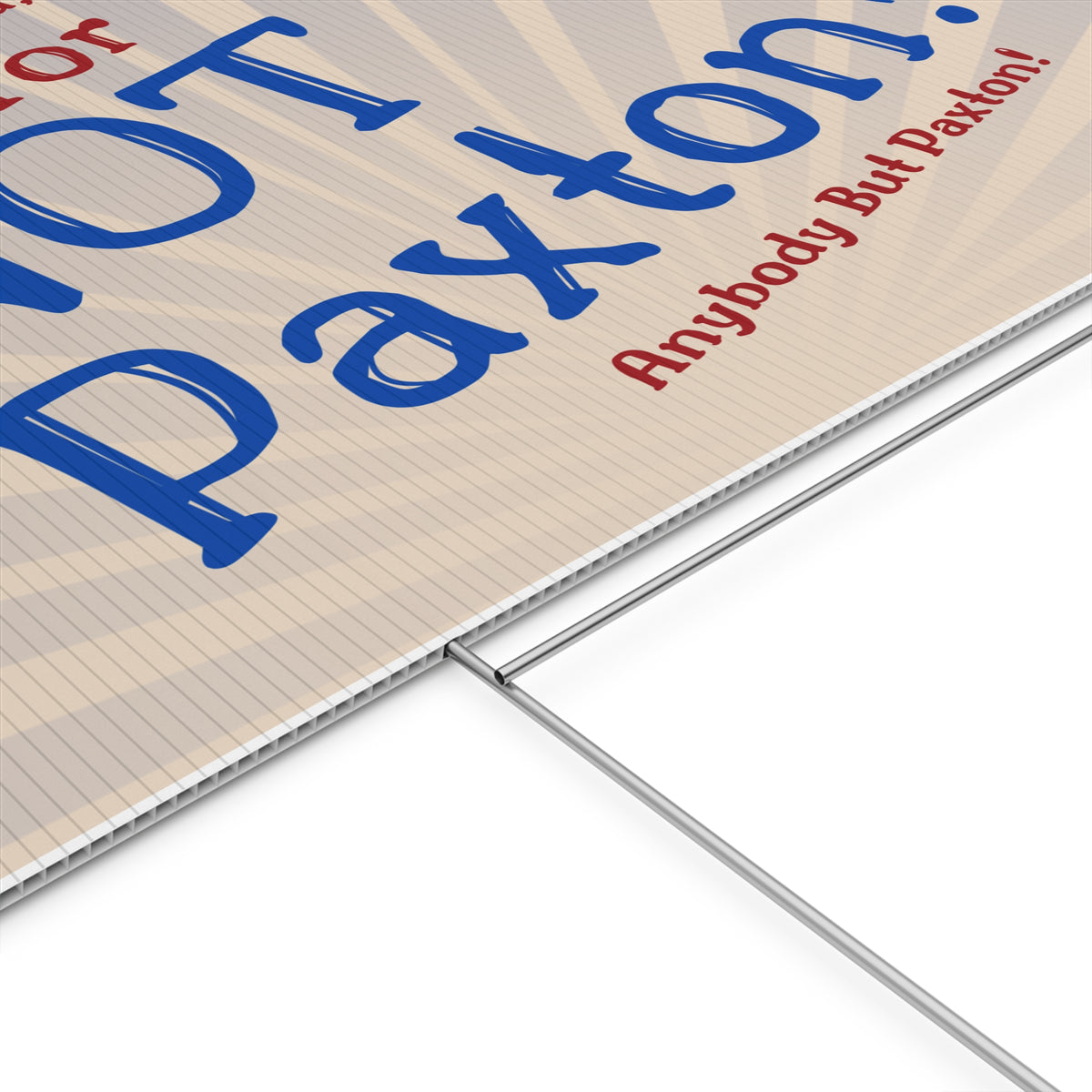 "NOT Paxton" Yard Sign - Anybody But Paxton!